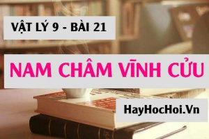 Nam châm vĩnh cửu là gì? Từ tính của nam châm và sự tương tác giữa hai nam châm - Vật lý 9 bài 21
